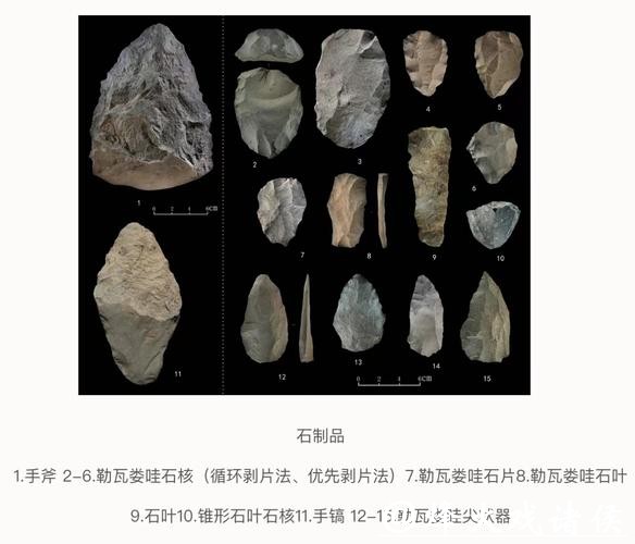 中肯联合考古发现旧石器中晚期石叶技术石制品 中肯联合考古发现旧石器中晚期石叶技术石制品