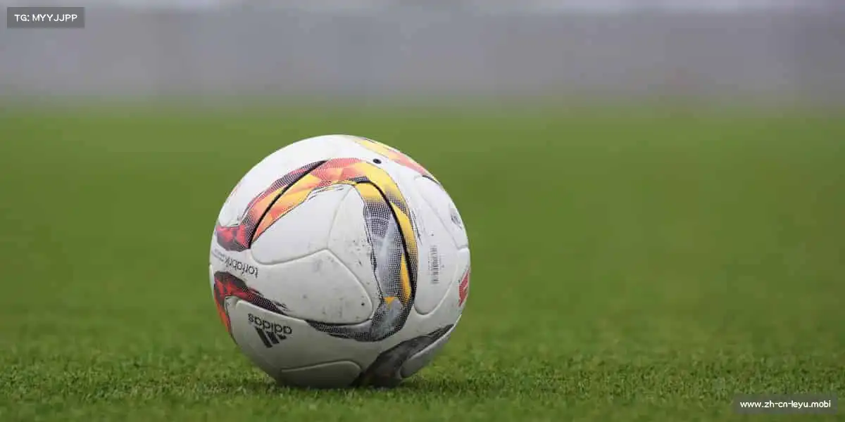 乐鱼官网官方网站——🥊拳力以赴！释放压力，格斗课程点燃你的斗志🔥